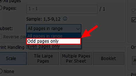Translate Odd pages only to Indonesian .
